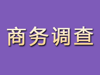 白河商务调查